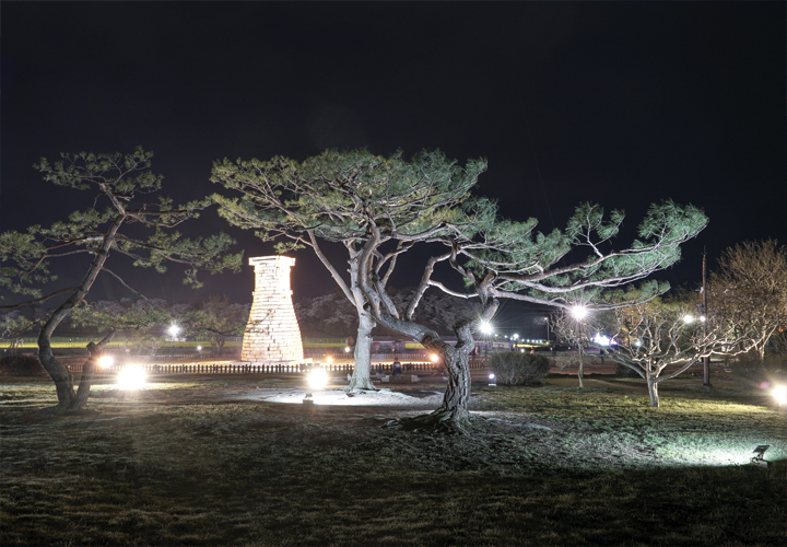 경주 첨성대의 야경(PK1000_3182)