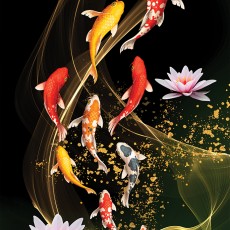 아홉마리의 비단잉어(PK2000_3234)